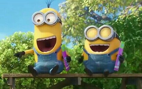 Kevin & Bob Despicable Me Memes, Sbh Picture Rpw, Despicable Minions, Minions Bob, Minion 2, Minion Pictures, Minions Love, Cute Minions, Minions Wallpaper