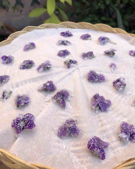 "Stay at home", it's Spring: no-egg white candied violets! Fae Party, Candied Flowers, Candied Violets, Flowers Recipes, Edible Flowers Recipes, Kitchen Gardens, Food Flowers, Culinary Techniques, Candy Flowers