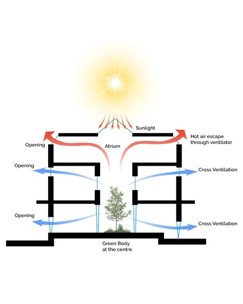 What is Atrium in Architecture? History & Overview - layakarchitect Atrium Section Architecture, Atrium Home Plans, Green Atrium Architecture, Atrium School Architecture, Atrium Architecture Plan, Courtyard Architecture Concept, Atriums In Houses, Atrium Design Architecture, Atrium Section