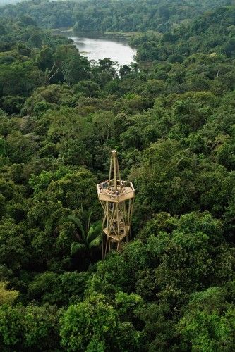 Panama Rainforest Discovery Center / ENSITU | ArchDaily Panama Travel, Central America Travel, Panama Canal, World Geography, Tropical Rainforest, Panama City, Grand Tour, On The Top, Panama City Panama