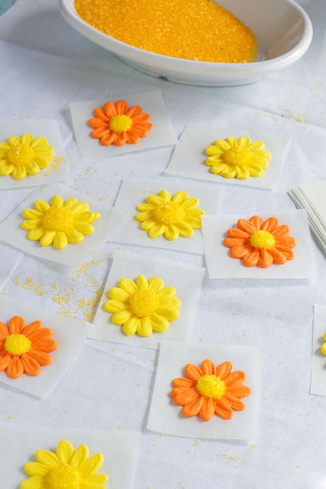 Follow this video & tutorial to make a perfect icing daisy. They are great for decorating cookies, cupcakes and cakes. Printable free flower nail template. Simple Icing, Deco Cupcake, Nail Template, Royal Icing Templates, Easy Icing, Frosting Flowers, Sweet Sugarbelle, Royal Icing Flowers, Cutout Cookies