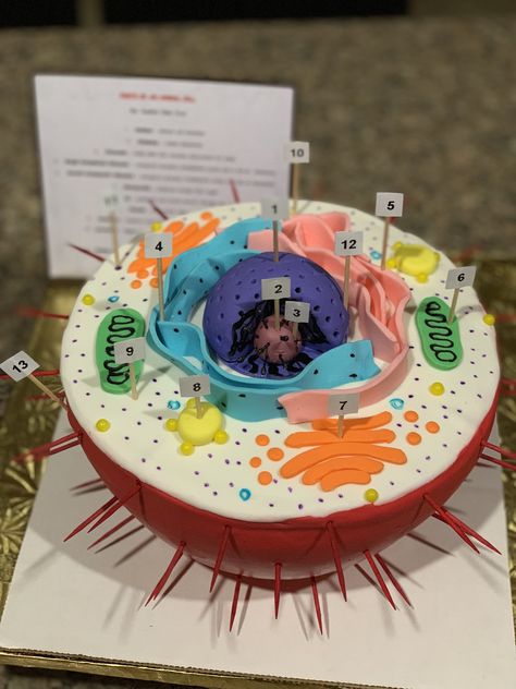 3d Animal Cell Project, 3d Cell Project, Edible Animal Cell, Animal Cell Model Project, Edible Cell Project, Cell Cake, 3d Animal Cell, Animal Cell Model, Plant Cell Project