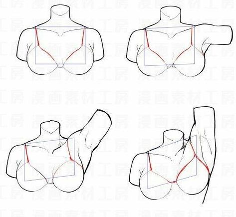 Torso Study, Draw Arms, Torso Anatomy, Paint Anime, Jojo Pose, Anatomy References, Body Sketches, Body Drawing Tutorial, Anatomy Sketches