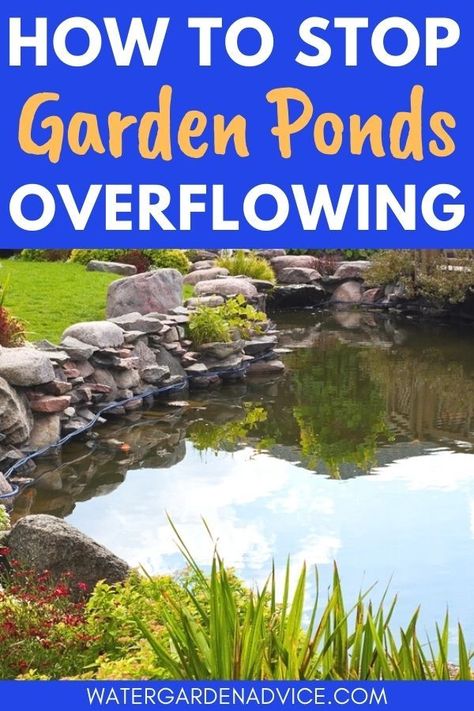 Garden pond overflowing Garden Ponds, Pond Maintenance, Outdoor Ponds, Diy Pond, Pond Landscaping, Pond Life, Duck Pond, Water Storage Tanks, Waterfalls Backyard