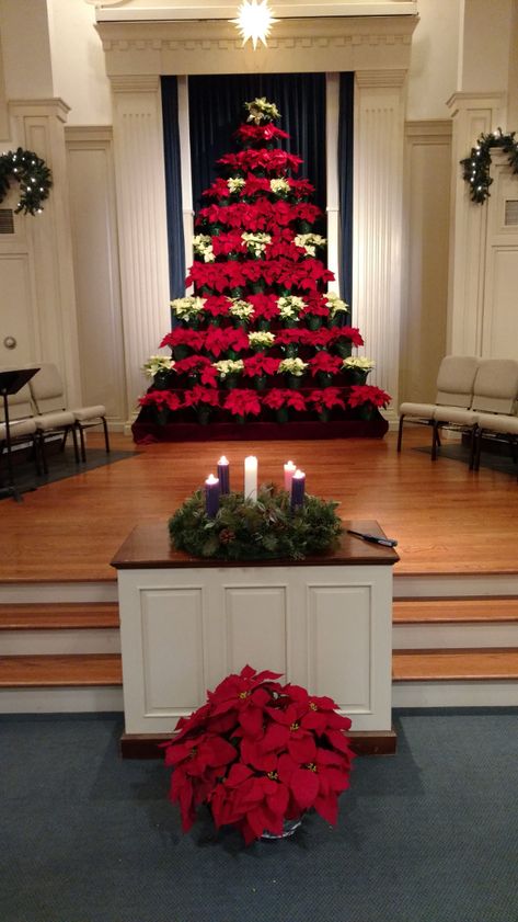 Poinsettia Tree | Pleasant Valley Church of the Brethren Poinsettia Tree Rack, Poinsettia Tree Stand, Inauguration Decor, Poinsettia Decorating Ideas, Advent Church Decorations, Christmas Ceiling, Poinsettia Christmas Tree, Christmas Ceiling Decorations, Christmas Car Decorations