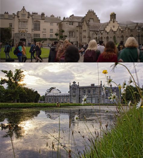 location of alfea college from fate: the winx saga on netflix Magical Boarding School, Magic Boarding School, Alfea School Aesthetic, Fate The Winx Saga Aesthetic, Winx Saga Aesthetic, Winx School, School Greenhouse, Winx Fairies, Dark Fantasy Book