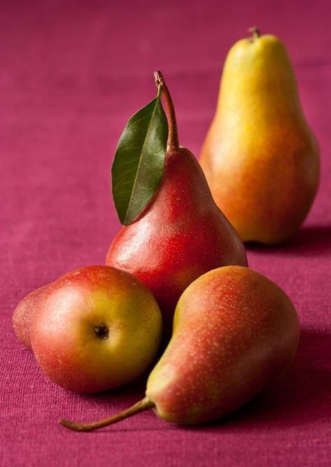 xx Ripe Pears, Pear Art, Still Life Pictures, Life Drawing Reference, Fruits Photos, Still Life Fruit, Watercolor Fruit, Fruit Photography, Still Life Photos