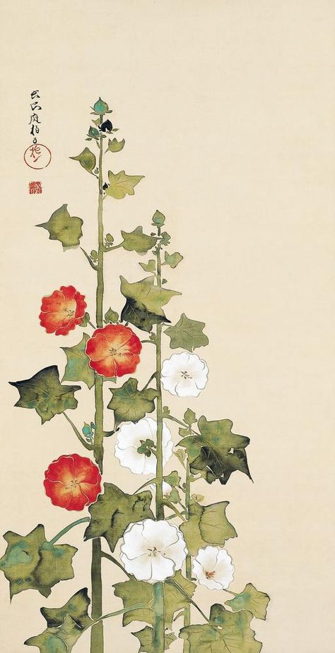 Japanese Flower Art Illustrations, Hollyhock Botanical Illustration, Hollyhocks Illustration, Japanese Botanical Art, Public Domain Art Paintings, Hollyhock Illustration, Hollyhock Flowers, Flower Pattern Art, Art For Room Decor