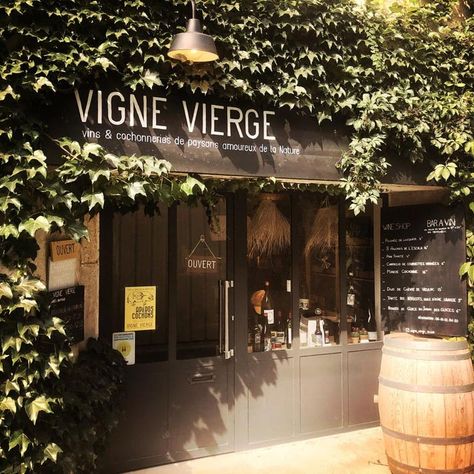 Her French Wine Bar Is So Homey That Some Customers Do Not Leave French Wine Bar, Peaceful Interior, Italian Plates, Different Wines, Wine Store, Natural Wine, French Wine, Southern France, Wine Room