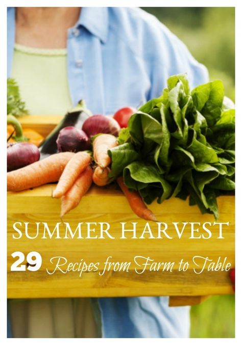 From Farm To Table, Farmers Market Recipes, Summer Harvest, Fall Garden Vegetables, Harvest Recipes, Fall Garden, Garden Maintenance, Farm To Table, Different Vegetables