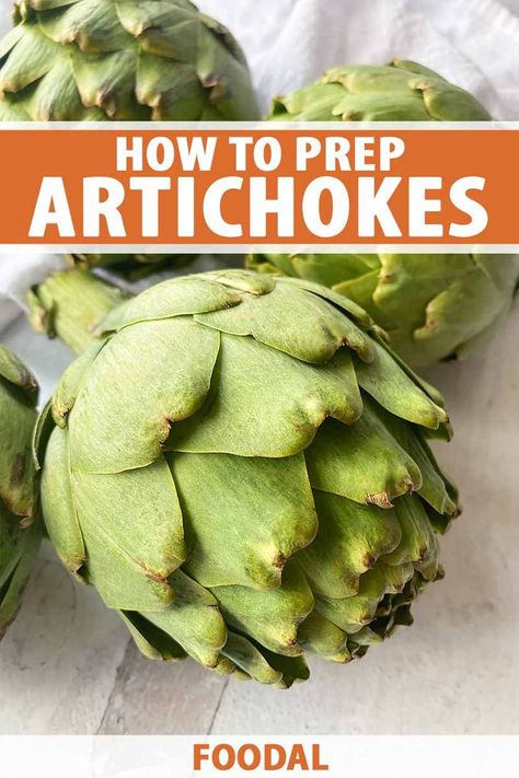 Canned Artichokes, Fresh Artichoke, Growing Vegetables At Home, Baking Projects, Artichoke Recipes, Baking Project, Cooking Basics, Vegetarian Recipes Easy, Seasonal Recipes