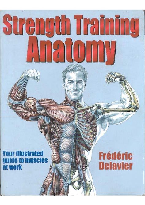 Strength Training Anatomy, Major Muscles, Eyes On The Prize, Muscle Groups, Weight Training, Fitness Training, Strength Training, Muscles, Anatomy