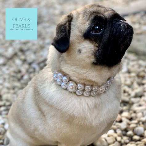 Pearl Dog Collar Custom Dog Collars The “Chanel” Collar Pearl Dog Collar Diy, Cute Dog Collars For Females, Dog Collar Beads, Diy Beaded Dog Collar, Dog Jewelry Collar, Dog Pearl Necklace, Dog Necklace Collar, Pearl Dog Collar, Female Dog Collars