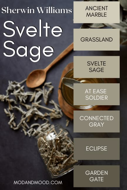 Sw Grassland Paint, Sherwin Williams Accolade Paint Color, Sw Slate Tile Coordinating Colors, Essex Green Color Palette, Svelte Sage Sherwin Williams Exterior, Thunderous Satin Sherwin Williams, Rushing River Sherwin Williams, Sherwin Williams Eclipse, Muddled Basil Sherwin Williams Exterior