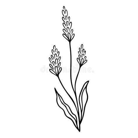 Lavender Outline Hand Drawn Element. Herbs Doodle Botanical Icon Lavender for Logo. Vector Illustration Isolated on Stock Vector - Illustration of herbs, icon: 197541290 Lavender Drawing Simple, Herbs Doodle, Lavender Line Drawing, Lavender Outline, Doodle Botanical, Lavender Line Art, Lavender Sketch, Embroidery Patterns Free Printables, Lavender Drawing