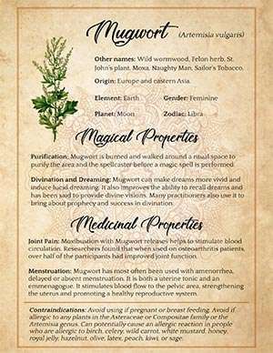 Mugwort & Bay Leaf Spell for Spiritual Growth - Witchy Wisdom - The Spells8 Forum Backyard Garden Landscaping, Book Of Shadows Grimoire, Wicca For Beginners, Garden Landscaping Ideas, Magickal Herbs, Magic Spell Book, Grimoire Book, Magic Herbs, Aesthetic Garden