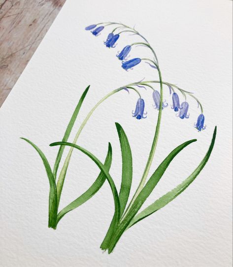 A Flower Drawing, Watercolour Ideas, Flowers Paintings, Blue Bell Flowers, Art Mediums, Blue Flower Painting, Flower Drawings, Watercolor Flowers Tutorial, Art Tutorials Watercolor