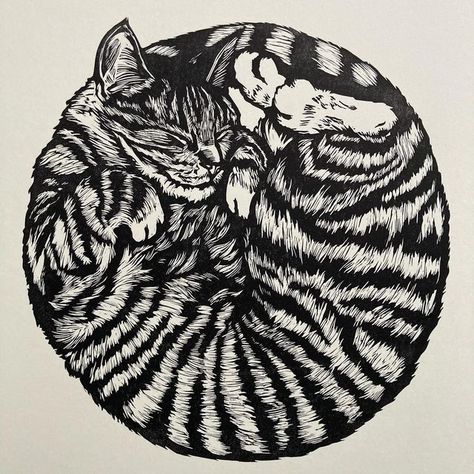 Lucie Spartacus linogravures on Instagram: "Cosy, my latest cat print, with the Sleeping kitten 🐈‍⬛ . . . #linogravure #linograbado #linocut #linocutprint #linoprint #printmaking #catprint" Linocut Prints Art, Printmaking Projects, Woodcut Art, Linoleum Print, Sleeping Kitten, Linocut Art, Sketchbook Drawings, The Suburbs, Drawing Expressions