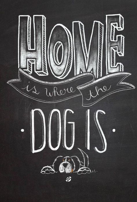 Home is where your dog is. Dog lover | Love Dogs Chalkboard Lettering, Chalkboard Designs, Chalk It Up, Chalkboard Wall, Chalkboard Sign, Memes Humor, Chalkboard Signs, Chalkboard Art, Chalk Art