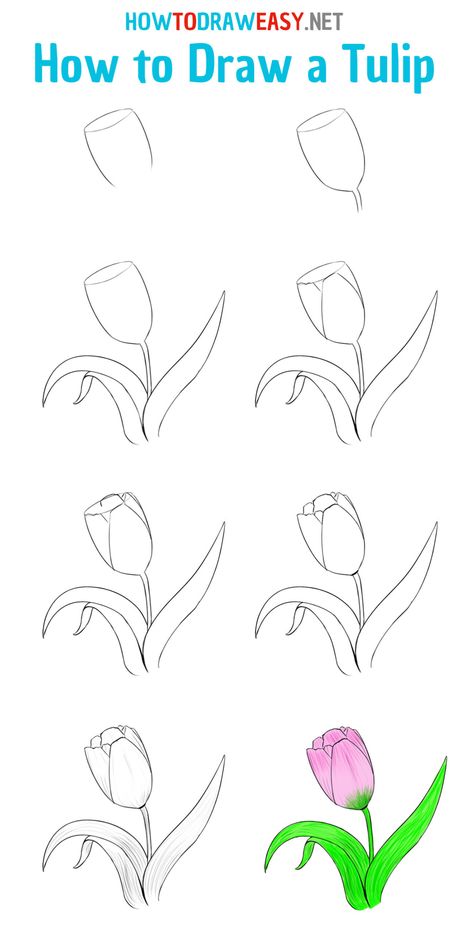 How to Draw a Tulip Step by Step #Tulip #Flower #EasyDrawing #Flowers #Tulips #Pink #Plants #Sketching #Sketch #DrawingTutorials #HowtoDraw #DrawingEasy #Rose Draw A Tulip, Tulip Flower Drawing, Tulip Drawing, Easy Flower Drawings, Flower Step By Step, Pencil Drawings For Beginners, Drawing Step By Step, Flower Drawing Tutorials, Tulips Art