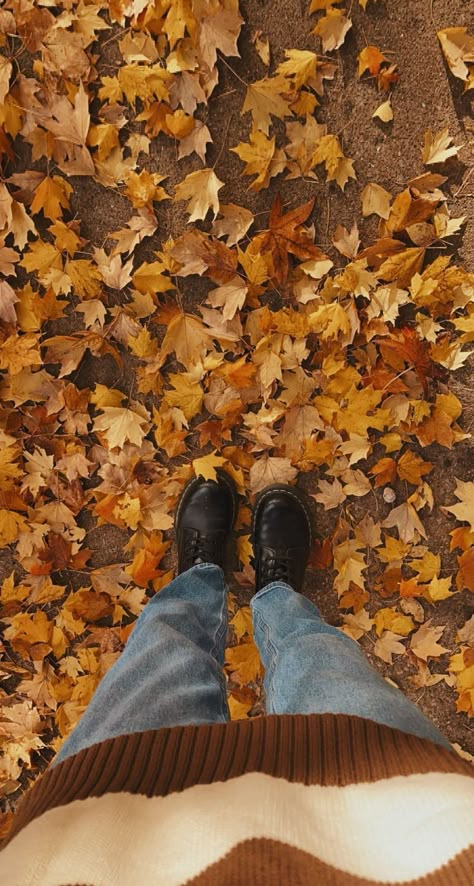 Fall Details Aesthetic, Brianna Season, Brandy Melville Brianna Sweater, Brianna Sweater, Leaves Changing Color, Fall Mood Board, Deep Autumn, Autumn Magic, Dark Autumn