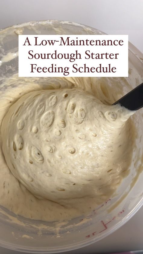 Sourdough Feeding Schedule, How To Feed Sourdough Starter, Quick Sourdough Starter, Easy Sourdough Recipes, Emily Christensen, Homemade Sourdough Bread Recipes, Sourdough Starters, Easy Sourdough Bread Recipe, Recipe Using Sourdough Starter