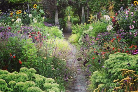 How Plants Grow, Fine Gardening Magazine, Naturalistic Garden, Southern Garden, Short Plants, White Plants, Fine Gardening, Garden Photography, Tall Plants