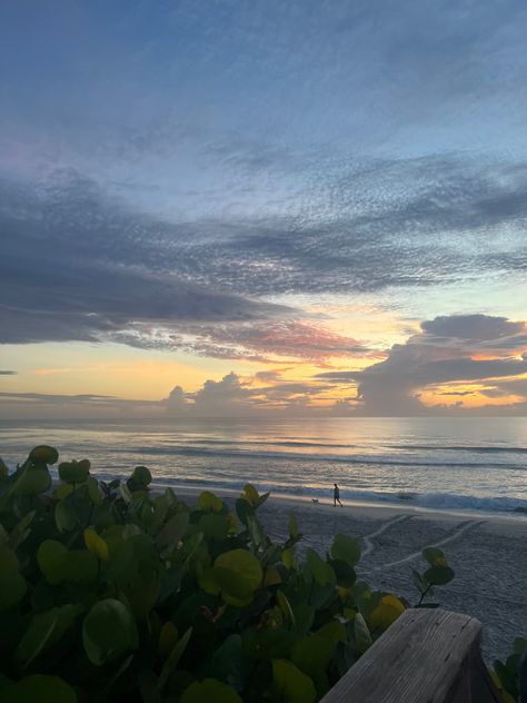 sunrise, sunset, florida, florida beaches, melbourne, vacation, florida aesthetic, beach trip with friends aesthetic Melbourne Florida Aesthetic, Florida Beach Aesthetic, Travel Aesthetic Florida, Melbourne Beach Florida, Florida Night Aesthetic, Florida Sunset, Florida Beach Town Aesthetic, Florida Sunset Aesthetic, Melbourne Florida