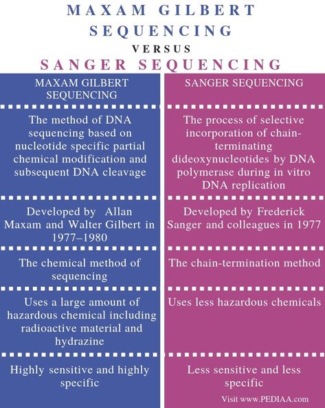 Sanger Sequencing, Dna Polymerase, Next Generation Sequencing, Dna Technology, Dna Replication, Dna Molecule, Dna Sequence, The Third Person, Chemical Reactions