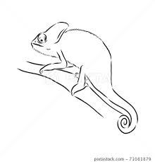 Sketch of chameleon. Hand drawn vector - Stock Illustration [71081879] - PIXTA Chameleon Tattoo Simple, Chameleon Sketch, Reptiles Drawing, Reptile Drawings, Chameleon Drawing, Birthday Drawings, Chameleon Tattoo, Money Images, Wood Burning Crafts