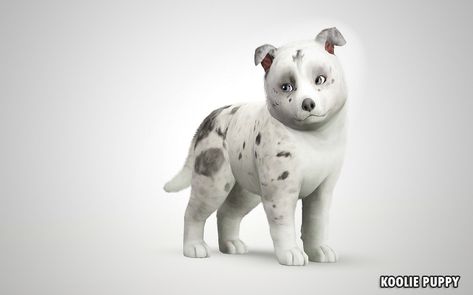 Sims 4 Dog Overlay, Sims 4 Dog Mods, Sims 4 Dog Download, Sims 4 Puppy Cc, Sims Dog Cc, Koolie Puppy, Sims 4 Dogs Cc, Sims 4 Cats And Dogs Cc, Sims 4 Dog Cc