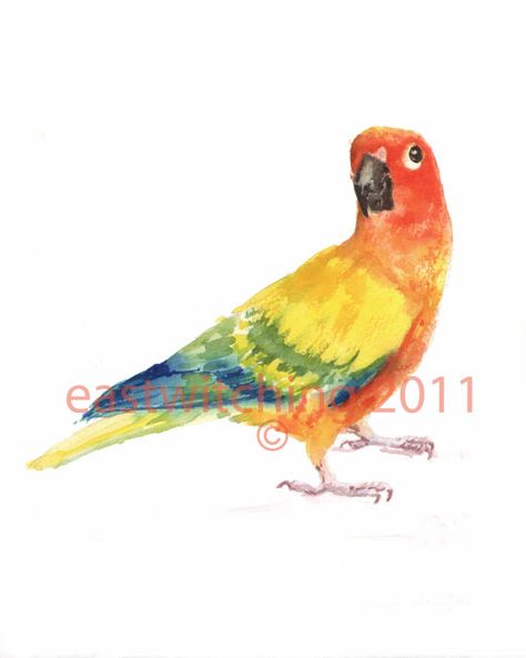 Watercolor CONURE parrot Art Print 8x10 inches by eastwitching, $16.00 Watercolor Parrot Painting, Conure Parrots, Parrot Painting, Sun Conure, Tropical Painting, Parrots Art, Step By Step Watercolor, Bird Art Print, Parrot Bird