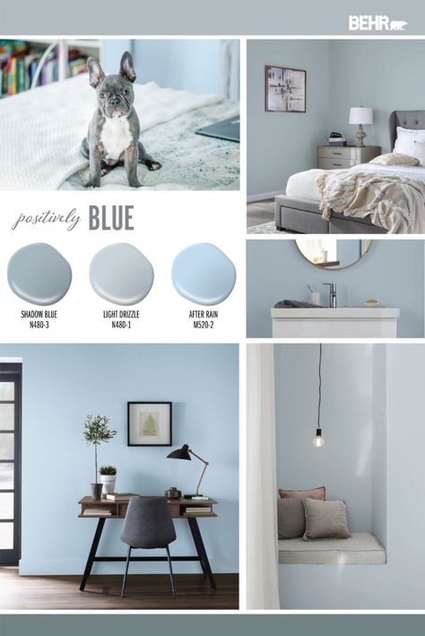 Behr Light Drizzle Paint Color, Light Blue Behr Paint Colors, Light Drizzle Behr Paint, Behr Light Drizzle, Light Blue Grey Bedroom, Behr Light Blue Paint Colors, Blue Grey Living Room Walls, Light Blue And Gray Bedroom, Light Blue Paint Colors For Bedroom