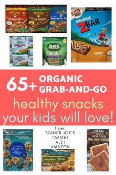 Kids Grab And Go Snacks, Dye Free Aldi, Organic Dye Free Snacks, Kids Snacks Without Red Dye 40, Aldi Kids Snacks, Organic Toddler Snacks, Aldi Dye Free, Healthy Dye Free Snacks, Dye Free Grocery List