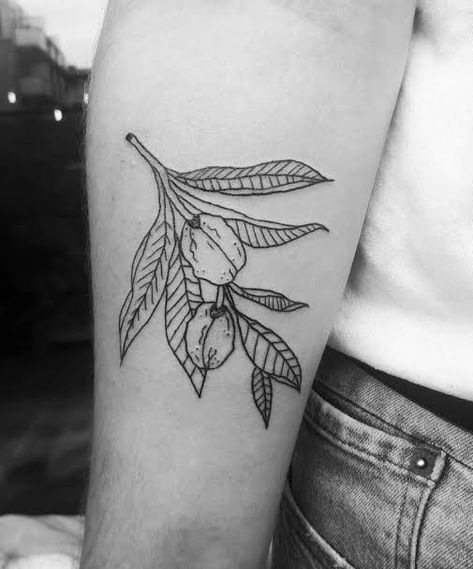 Walnut Tattoo, Tattoo New, New Tattoo Ideas, Walnut Tree, Tree Tattoo, New Tattoo, Tattoo Inspo, New Tattoos, Half Sleeve