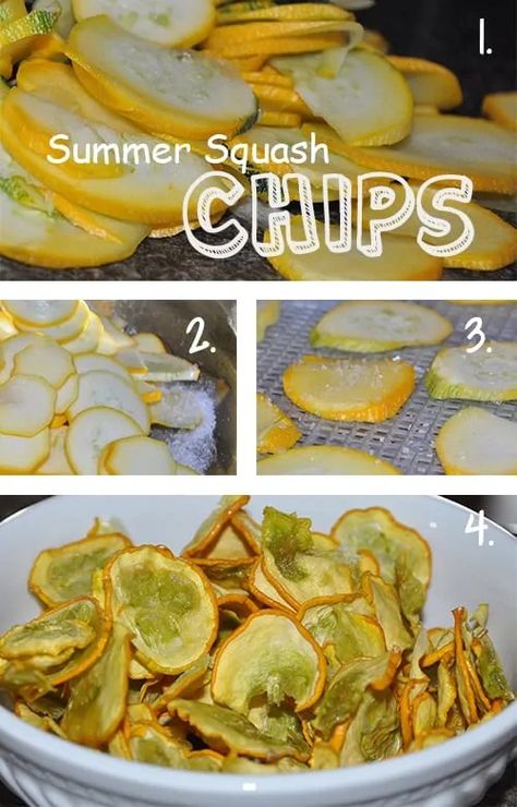 Yellow Squash Chips, Fig Recipes, Canned Venison, Squash Chips, Canning Equipment, Food Dehydration, Summer Squash Recipes, Yellow Squash Recipes, Dehydrated Vegetables