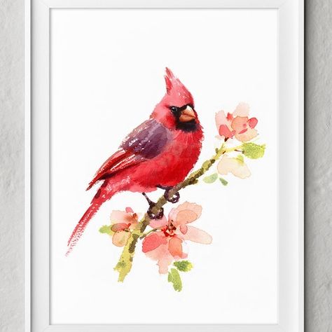 Cardinal Watercolor, Cardinal Tattoos, Animals Jokes, Watercolor Red, Exotic Animals, Cardinal Birds, Red Bird, Creative Painting, Jokes Funny