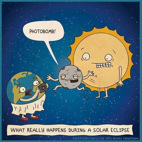 What really happens during a solar eclipse #lunarphotobomb #joke Solar Eclipse Activity, Eclipse Party, Solar Eclipse 2017, Science Puns, Eclipse Solar, 8th Grade Science, 6th Grade Science, Earth And Space Science, Crush Memes