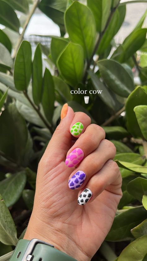 Different Color Cow Print Nails, Cow Print Nails Colorful, Rainbow Cow Print Nails, Colorful Cow Print, Cow Print Nails, Nail Goals, Colorful Nails, Print Nails, Cow Print