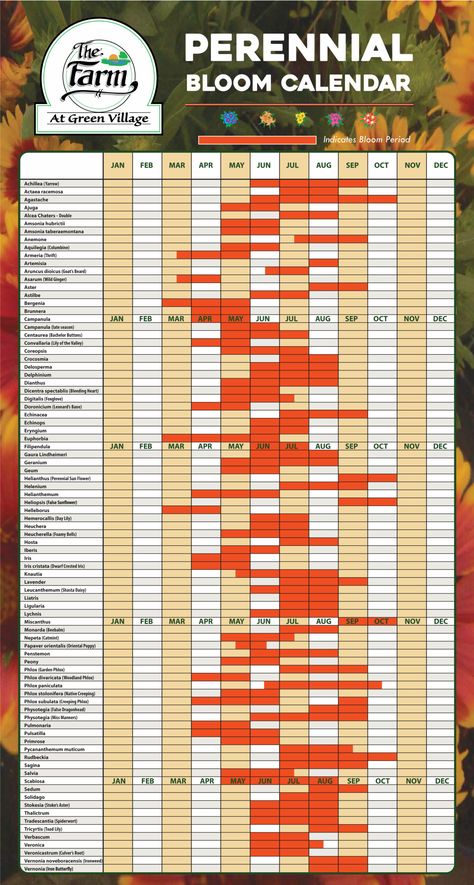 Bloom-Calendar-Perennials-30×48—Updated-May-2021 Bloom Calendar, Plant Diagram, Growing Calendar, Flower Planting, Companion Planting Vegetables, Flower Calendar, Planting Calendar, Homestead Life, Garden Calendar