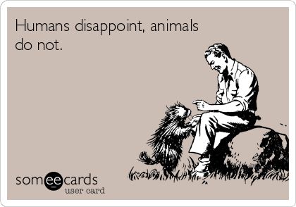 Humans disappoint, animals do not. Animals Over Humans Quotes, Animals Over People Quotes, Animals Better Than Humans Quotes, Diy Tooth Fairy Costume, Tooth Fairy Costume, Sucks Quote, Veterinary Humor, Dangerous Quotes, People Dont Like Me