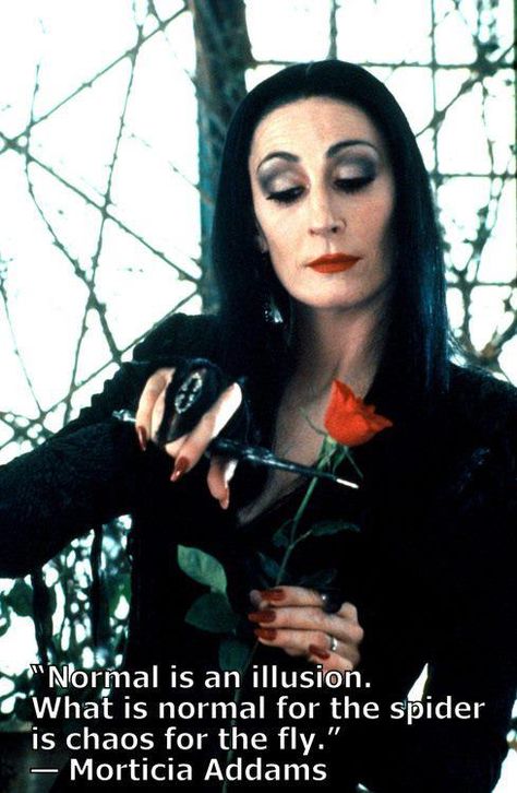 "Normal is an illusion. What is normal for the spider is chaos for the fly." - Morticia Addams The Addams Family, Addams Family, E Card, Quotable Quotes, Famous Quotes, Movie Quotes, The Words, Great Quotes, Beautiful Words