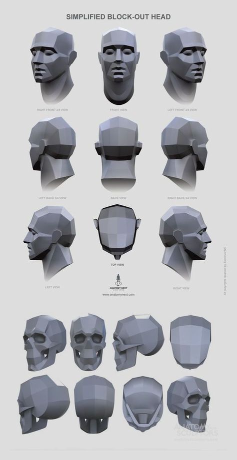 Skull Planes Anatomy, Shading Head Reference, Head Planes Anatomy, Face Planes Reference, Planes Of The Head Reference, Asaro Body Planes, Plans Of The Face, Skull Proportions Drawing, Head Anatomy Sketch