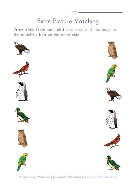 Bird worksheets for several different skills Birds For Kids, Learn To Speak French, Matching Worksheets, Bookmarks Kids, Bird Theme, Preschool Theme, Color Worksheets, How To Speak French, Bird Pictures