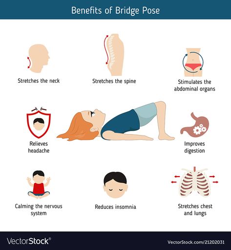 Infographics of yoga pose infographics of yoga Vector Image Yoga Pose Benefits, 200 Hour Yoga Teacher Training, Bridge Pose, Yoga School, Yoga Times, Basic Yoga, Yoga Nidra, Yoga Postures, Yoga Pose