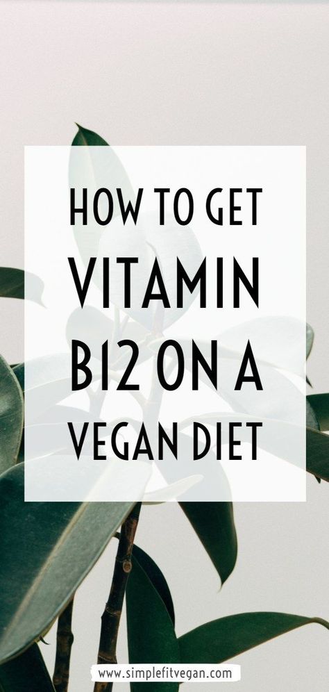 Vitamin B12 Foods Vegetarian, B12 Foods Vegan, B12 Foods Vegetarian, Vitamin B Foods, Vitamin B12 Foods, B12 Rich Foods, Vegan B12, B12 Foods, Brain Foods