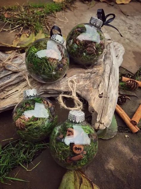 clear glass Christmas ornaments filled with moss, greenery, pinecones and cinnamon bark are amazing for woodland or rustic holiday decor Glass Ball Ornaments Diy, Solstice Ornaments, Solstice Decor, Clear Glass Christmas Ornaments, Glam Holiday Decor, Yule Ornaments, Hot Cocoa Ornaments, Christmas Ornament Decor, Woodland Christmas Decor