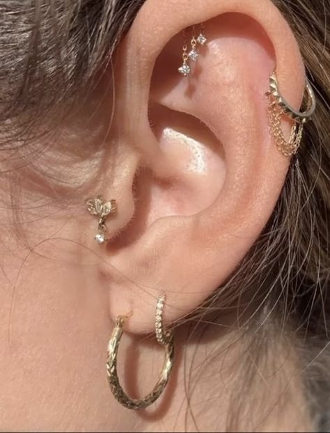 Decorated Ears Piercings, Piercing Combos, Gold Piercings, Back Piercing, Double Helix Piercing, Ear Peircings, Back Piercings, Locket Earrings, Piercing Inspo