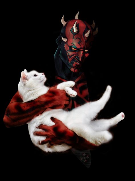 Short King, Darth Maul, Star Wars Memes, Amazing Spiderman, Awesome Art, Actor Model, Aliens, Wallpaper Backgrounds, Spiderman