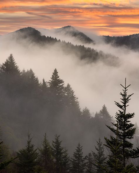 Sunrise in the Smokies 🌄 📷 @dawnfirephotography Smokey Mountains Photography, Smokey Mountains Aesthetic, Appalachian Gothic, Haunted Town, Smokey Mountains Vacation, Mountain Scenes, Mountains Vacation, Sunrise Mountain, Paint Inspo